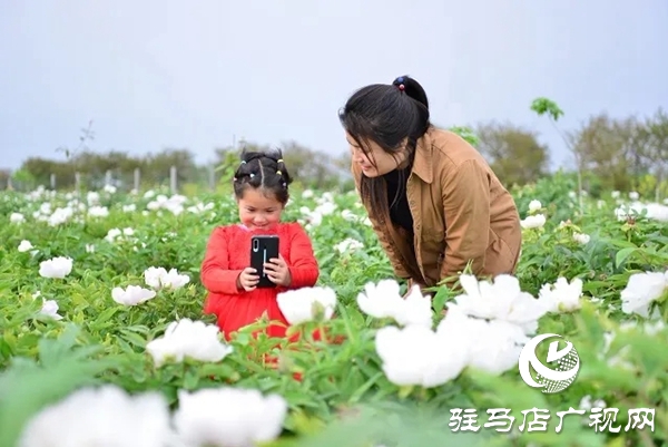 上蔡縣班閆村:產(chǎn)業(yè)發(fā)展“敲開(kāi)”群眾脫貧致富之門(mén)