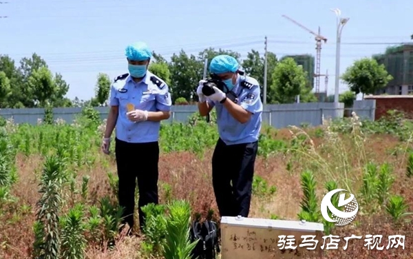 五一勞動節(jié):向堅守崗位的勞動者致敬,你們忙碌的身影最美麗！