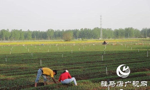 五一勞動節(jié):向堅守崗位的勞動者致敬,你們忙碌的身影最美麗！