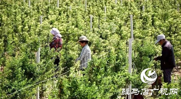 五一勞動節(jié):向堅守崗位的勞動者致敬,你們忙碌的身影最美麗！