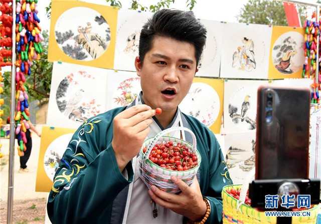 河南鄭州:櫻桃紅遍櫻桃溝