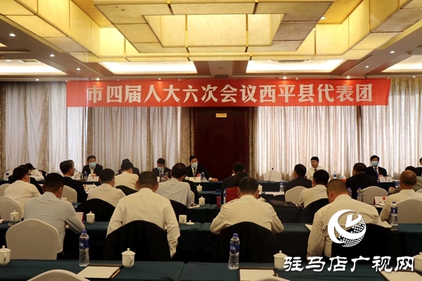 人大代表：履職盡責(zé)，認(rèn)真行使人民當(dāng)家做主的權(quán)利