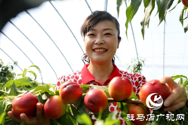 黨員為農(nóng)產(chǎn)品代言，政協(xié)助力脫貧攻堅(jiān) 