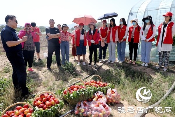 黨員為農(nóng)產(chǎn)品代言，政協(xié)助力脫貧攻堅(jiān) 