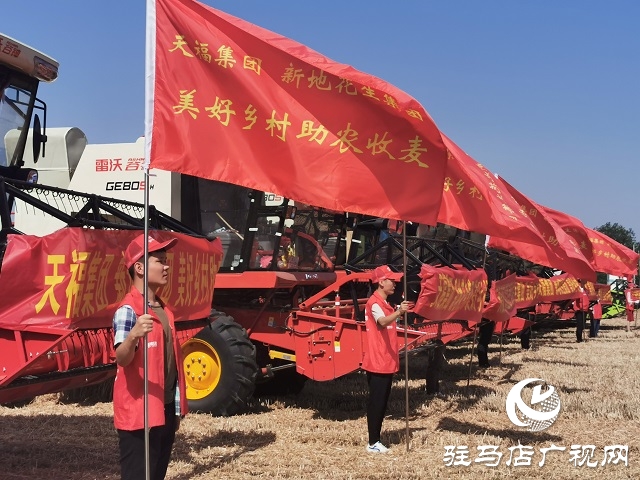 天福、新地花生集團(tuán)助農(nóng)收麥忙 三夏時(shí)節(jié)確保顆粒歸倉