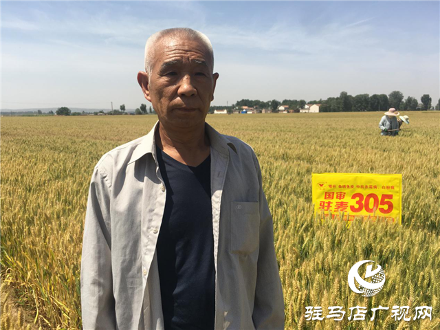 河南駐研種業(yè)開(kāi)展育種基地田間檢驗(yàn)