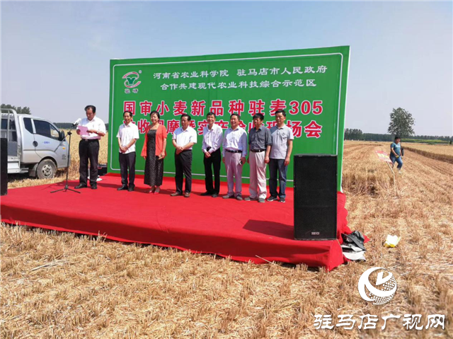 河南駐研種業(yè)開(kāi)展育種基地田間檢驗(yàn)