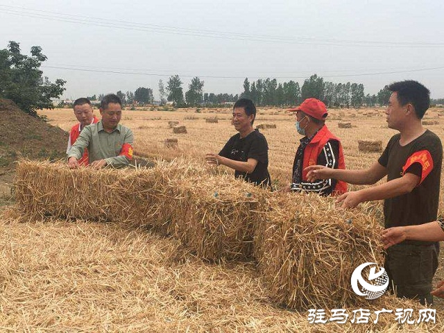 正陽縣蘭青鄉(xiāng)：禁燒“戰(zhàn)場(chǎng)”，黨員在前
