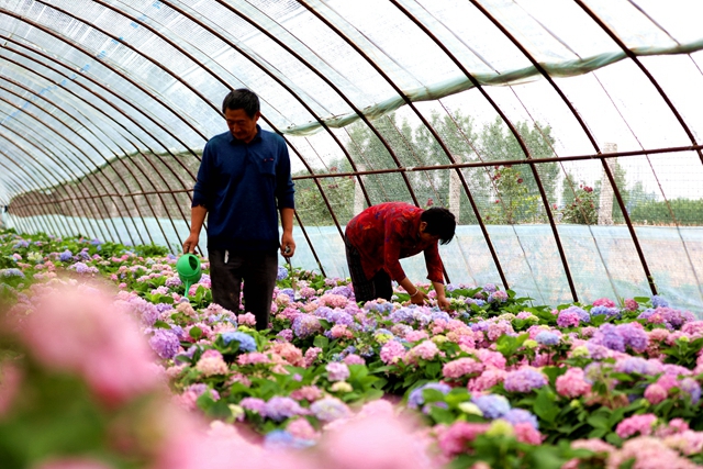 驛城區(qū)水屯鎮(zhèn)：小鎮(zhèn)文明建設(shè)催開幸?；▋?></a></p>
		                <div   id="1vlzhd5"   class=