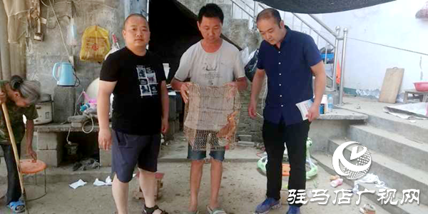 小鳥(niǎo)路邊受傷  好心村民幫助