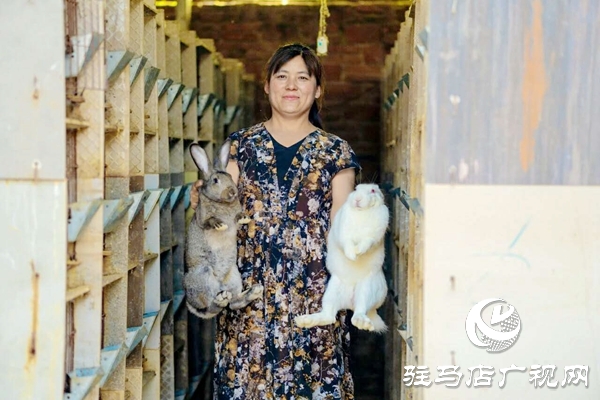 泌陽(yáng)養(yǎng)殖戶陳宏偉：就想讓鄉(xiāng)親們有錢(qián)賺 有事做