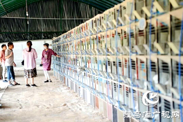 泌陽(yáng)養(yǎng)殖戶陳宏偉：就想讓鄉(xiāng)親們有錢(qián)賺 有事做