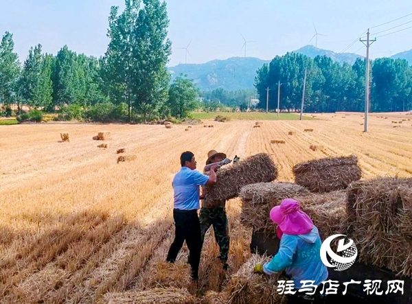 泌陽(yáng)養(yǎng)殖戶陳宏偉：就想讓鄉(xiāng)親們有錢(qián)賺 有事做