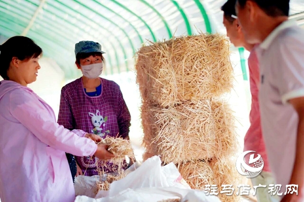 泌陽(yáng)養(yǎng)殖戶陳宏偉：就想讓鄉(xiāng)親們有錢(qián)賺 有事做