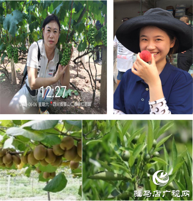 “好鈣肥、北沃造”——北沃農(nóng)業(yè)打造“鈣肥航母”