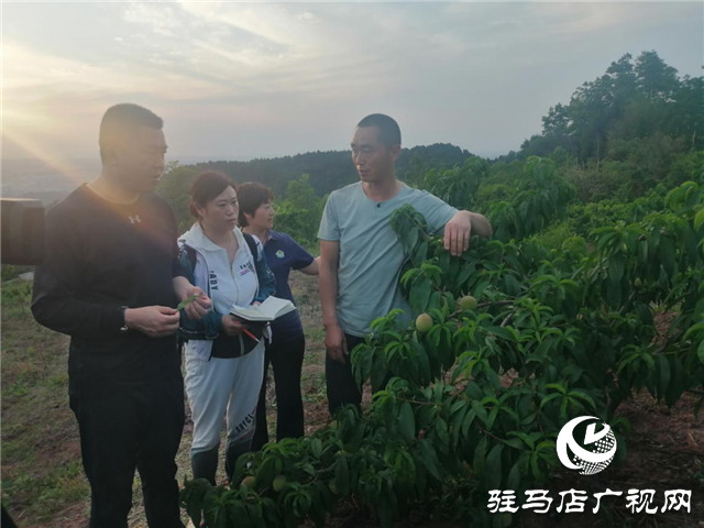 “好鈣肥、北沃造”——北沃農(nóng)業(yè)打造“鈣肥航母”