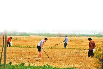 “及時(shí)雨”來解渴 河南大田墑情轉(zhuǎn)好