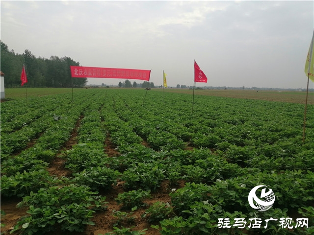 “好鈣肥，北沃造”——北沃農(nóng)業(yè)全國系列回訪第二站