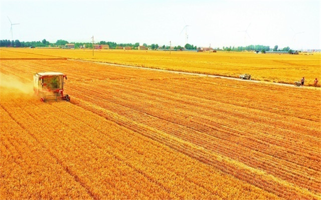 河南：中原糧倉的&ldquo;豐收答卷&rdquo;