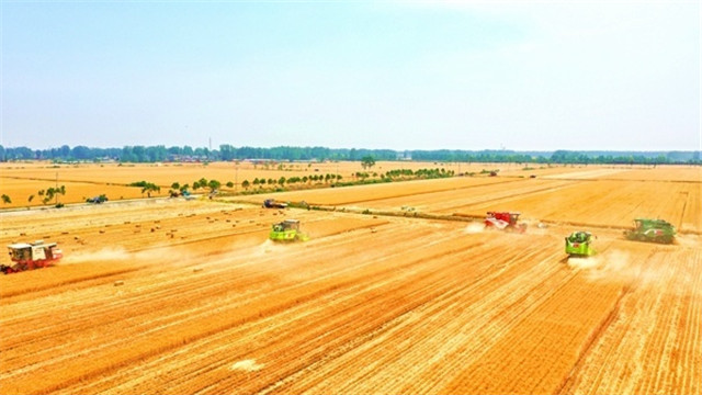 河南：中原糧倉的&ldquo;豐收答卷&rdquo;