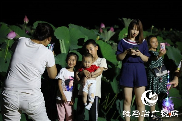 平輿藍(lán)天芝麻小鎮(zhèn)荷塘月色600畝荷花競(jìng)相開放成游客絕佳夜游打卡地