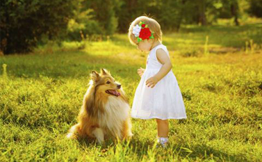 頑童情緒難料？家里可以養(yǎng)只寵物狗