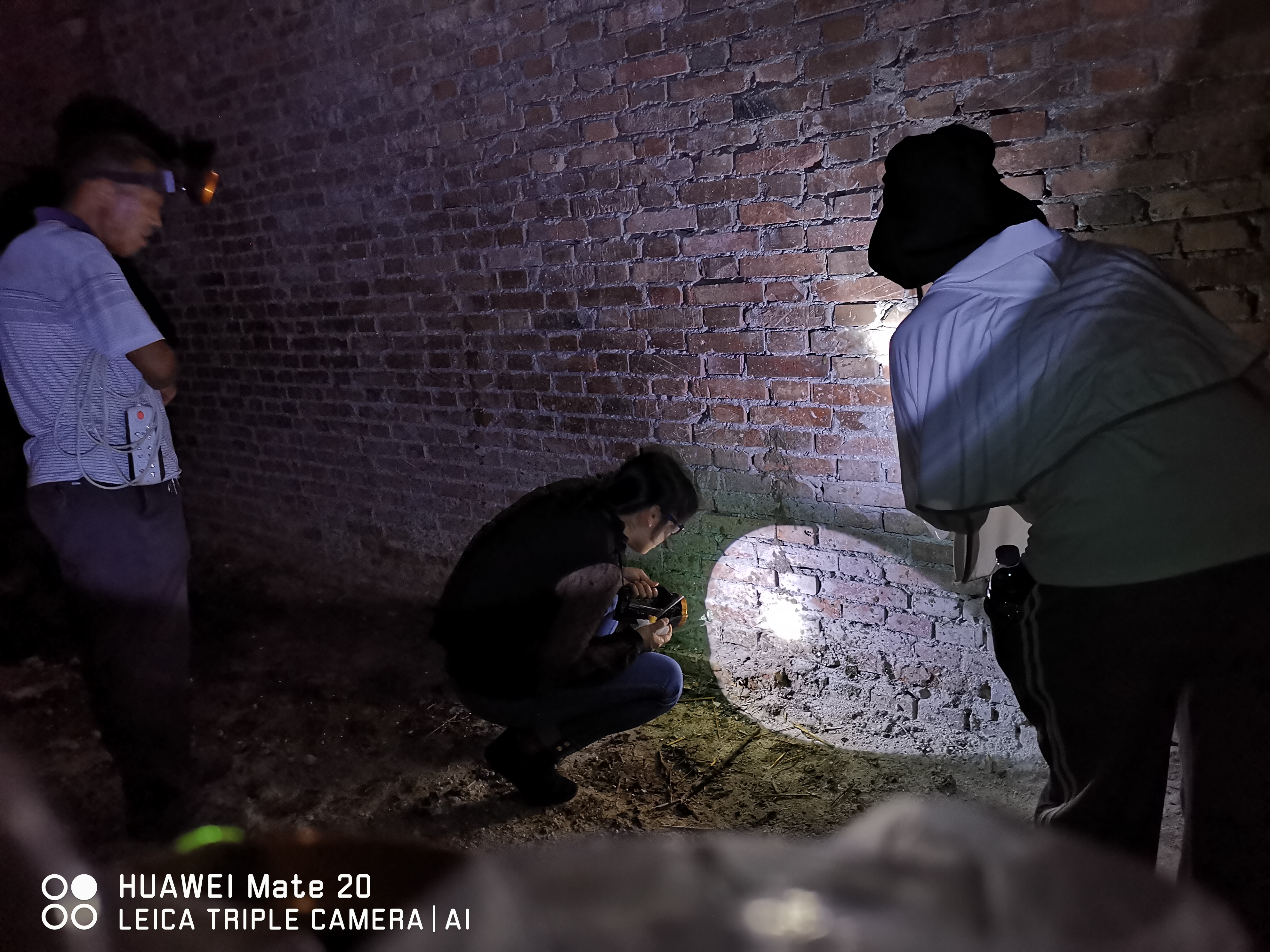 河南兩歲孩子被叮咬患病！省疾控中心專家：警惕黑熱病卷土重來