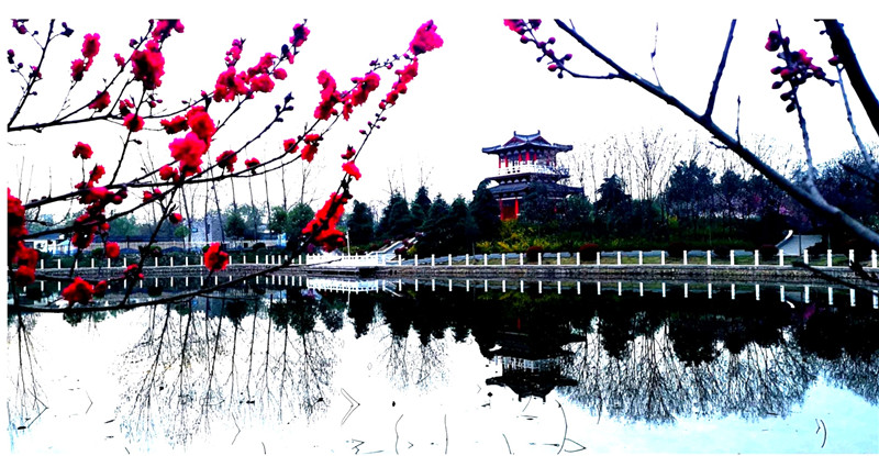 攝影：王線，拍攝于置地公園