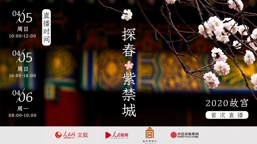 年接待觀眾“10億+”，博物館緣何成為“網(wǎng)紅打卡地”？