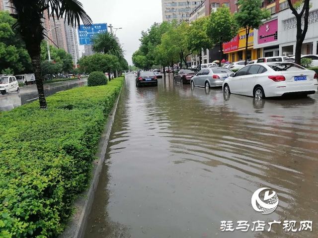 遇到積水路面如何開車？
