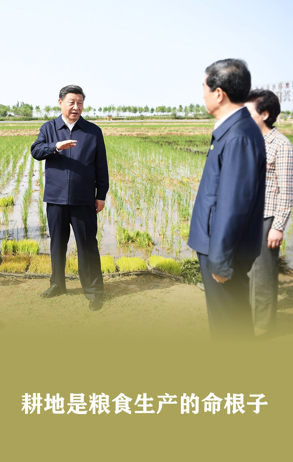 習近平：食為政首
