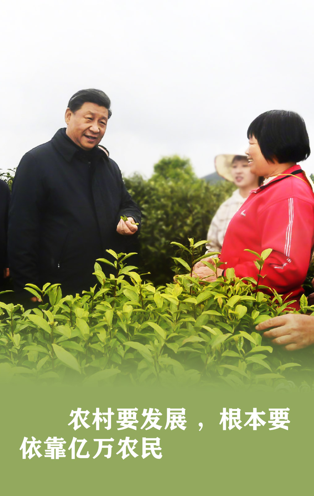 習近平：食為政首