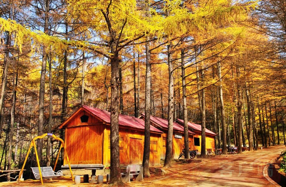 貼近大自然！三年內(nèi)河南將建145個(gè)森林康養(yǎng)基地