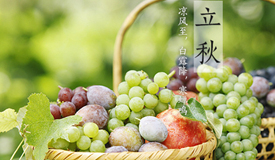 如何健康過立秋？“四食四養(yǎng)”要跟上