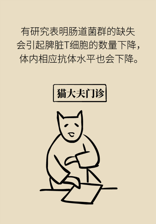 益生菌真能提高免疫力嗎？專家提醒注意這8點