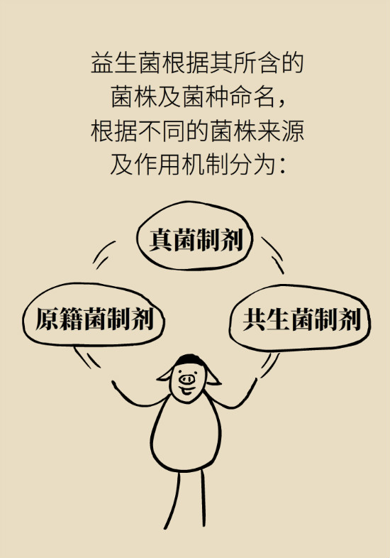 益生菌真能提高免疫力嗎？專家提醒注意這8點