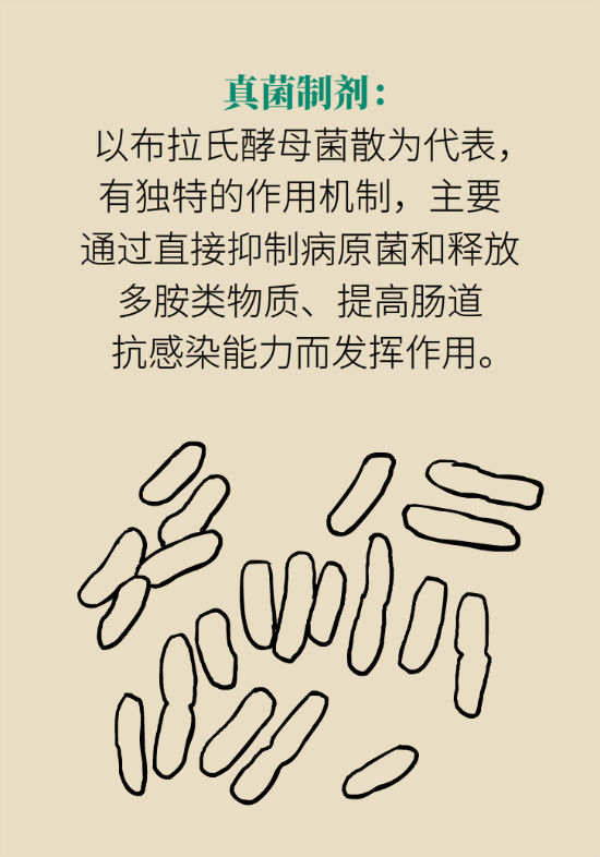 益生菌真能提高免疫力嗎？專家提醒注意這8點