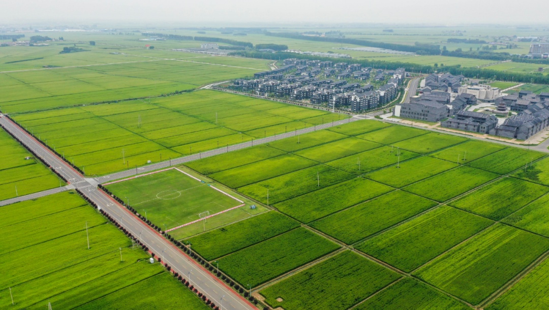 夏糧少收千萬(wàn)噸？糧食危機(jī)要來(lái)了？解答來(lái)了