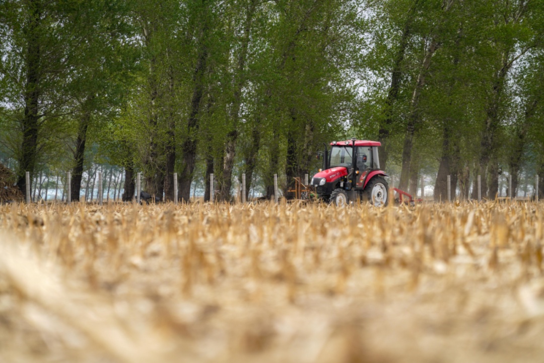 夏糧少收千萬(wàn)噸？糧食危機(jī)要來(lái)了？解答來(lái)了