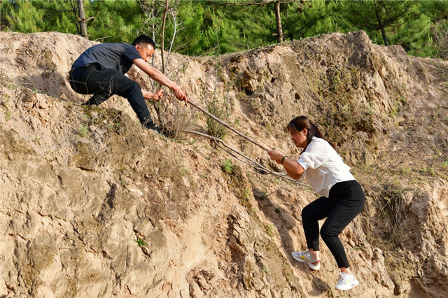 黃土地上向陽花開——來自山西深度貧困地區(qū)的脫貧故事