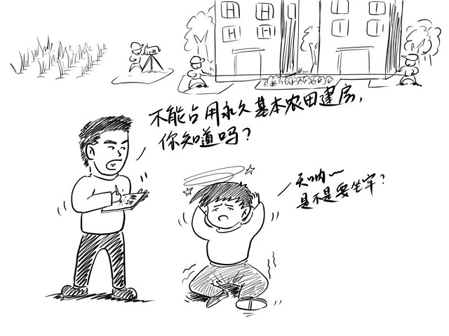 漫畫“八不準” | ①不準占用永久基本農田建房