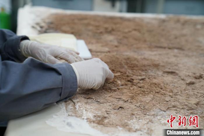 唐代女子一直以胖為美？這可能是個美麗的誤會……