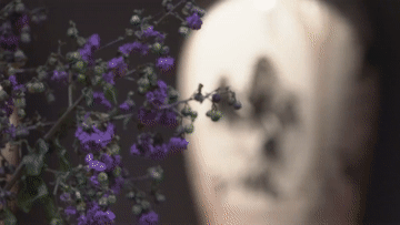 外國(guó)小姐姐看黃河丨第三集：泥與火的藝術(shù)