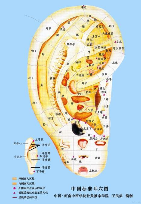 戴耳環(huán)、項(xiàng)鏈只是為了好看？專家：正確佩戴能養(yǎng)生