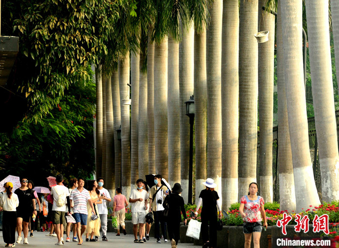 探訪鼓浪嶼:“音樂之島”又聞琴響 “世界遺產(chǎn)”重拾非遺