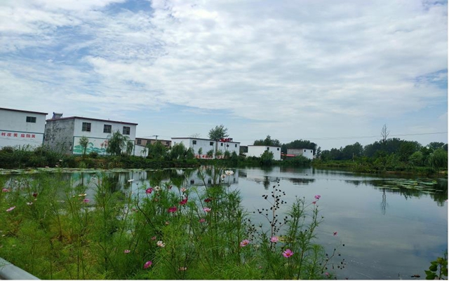 平輿宋劉村：村居換新顏 百姓樂(lè)開(kāi)懷