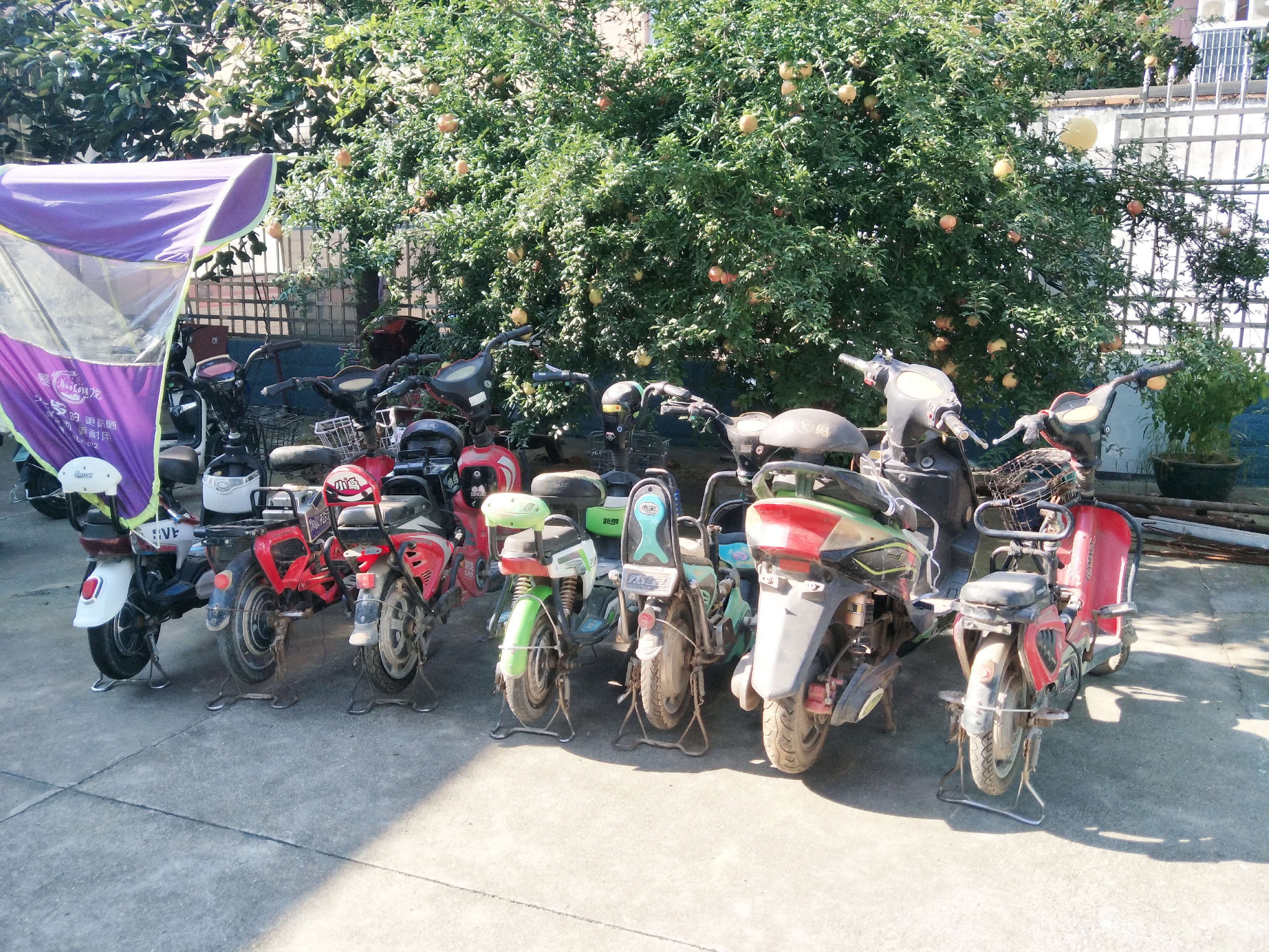 西平縣民警：走訪中認(rèn)出盜竊嫌疑人 帶破系列電動(dòng)車(chē)盜竊案