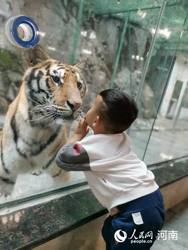 洛陽重渡溝:鄉(xiāng)村游聚了“人氣”賺了“財氣”