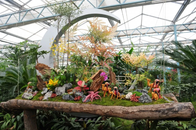 鄭州綠博園：邂逅浪漫花海、打卡民俗文化