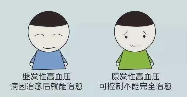 高血壓原發(fā)性、繼發(fā)性？精準治療，拒絕傻傻分不清！